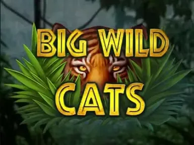 Royal Reels Casino screenshot